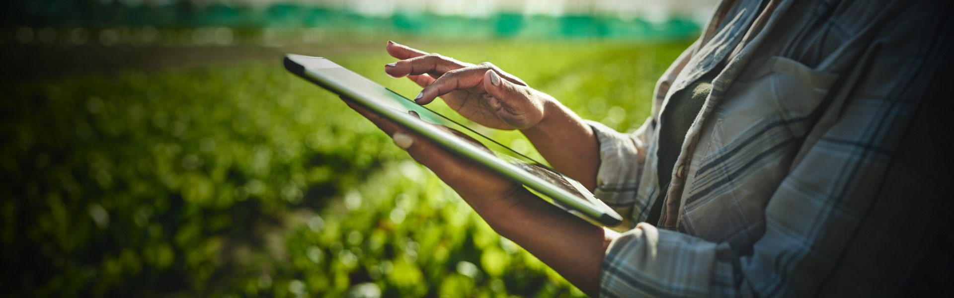 Oficina Dia De Campo Inova O E Pr Tica Polo Sebrae Agro