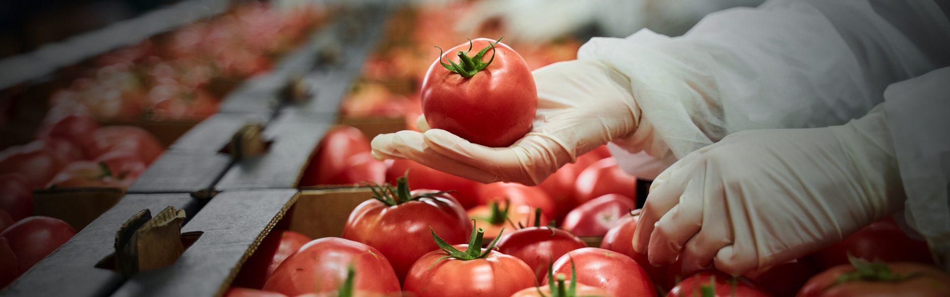 Higiene e manipulação de alimentos Polo Sebrae Agro