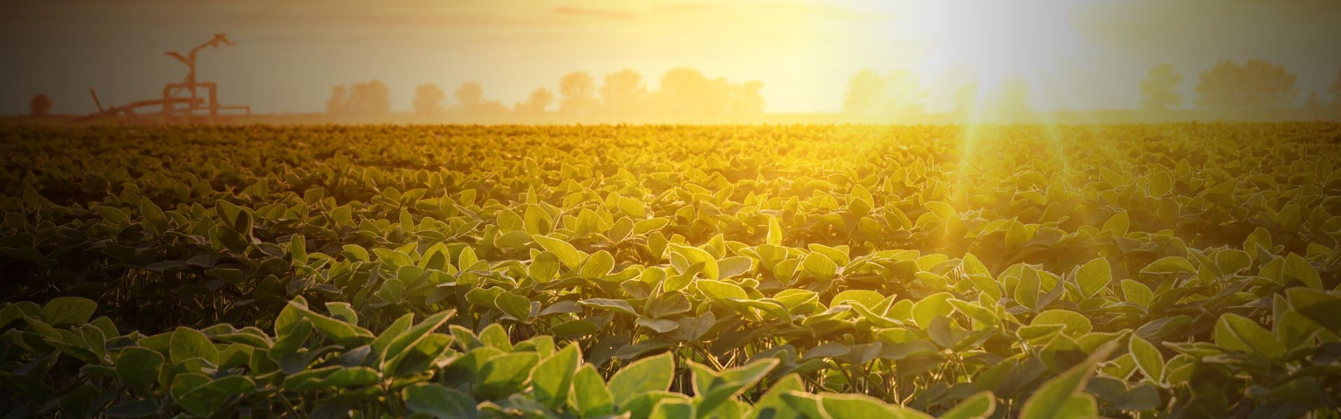 Liderança Rural fortalecendo o setor Polo Sebrae Agro