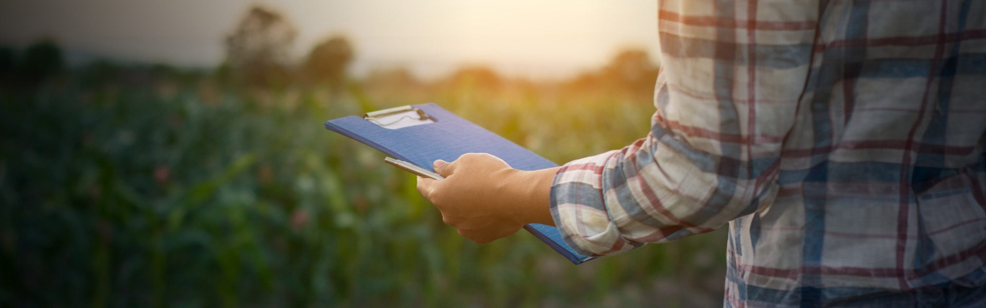 Consultoria Em Agricultura Sustent Vel Polo Sebrae Agro