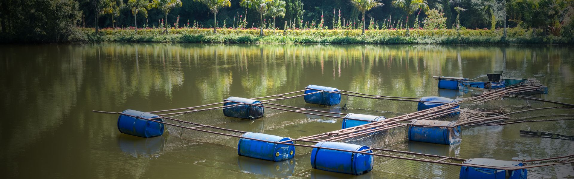 Outorga De Gua Para Uso Na Aquicultura Polo Sebrae Agro