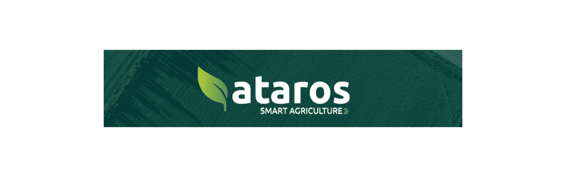 Rastreabilidade De Sementes Ataros Polo Sebrae Agro