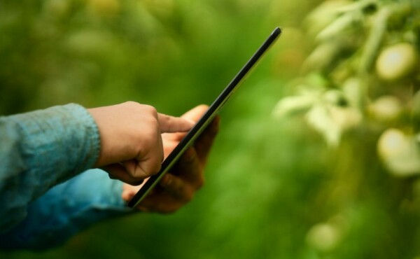 Alcance a excelência em agronegócio com Marketing Digital