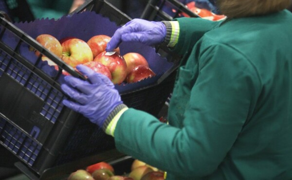 Avaliação de Processos nas Indústrias de Alimentos
