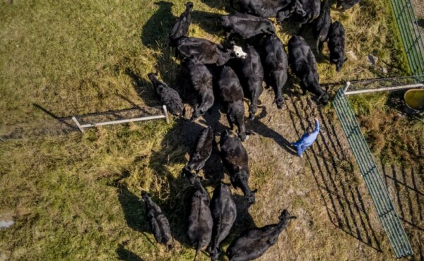 Boas Práticas de Gestão Em Propriedades Rurais: Caderno de Campo