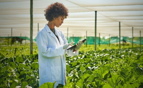 Certificação conforme norma Rainforest Alliance para Agricultura Sustentável (RAS) – Código de Conduta