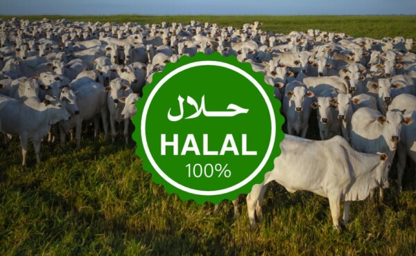 Certificação Halal por Auditoria