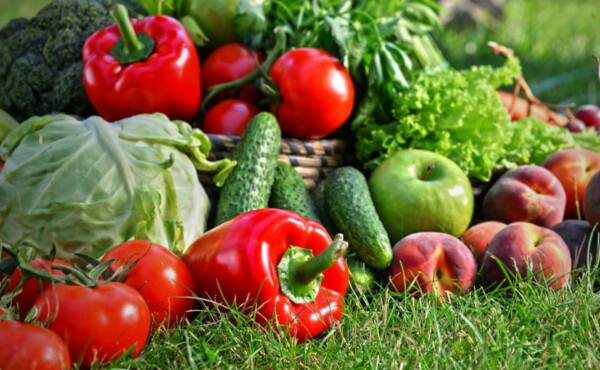 Certificação de produtos orgânicos