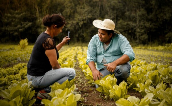 Como implementar as compras institucionais da agricultura familiar