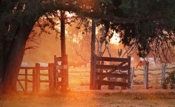Consultoria em Turismo Rural