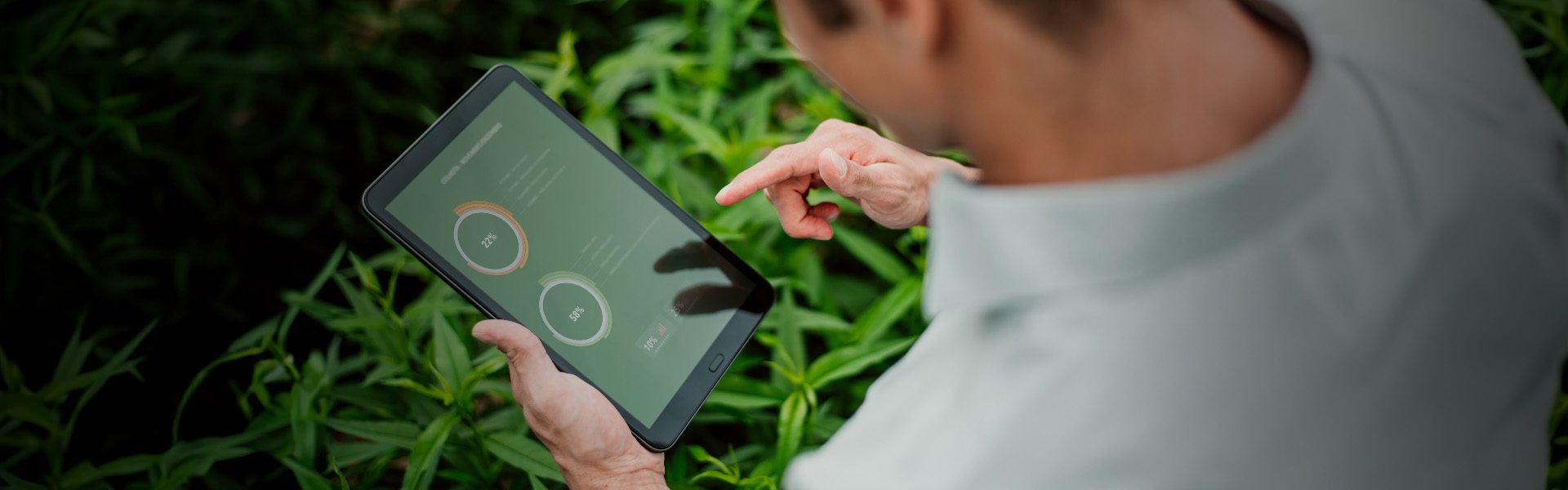 Controle E Melhoria De Processos Polo Sebrae Agro