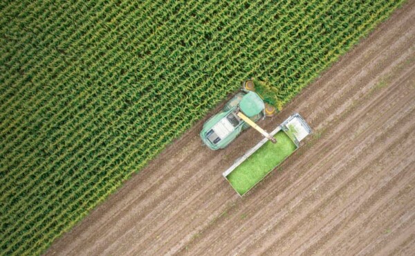 Empretec Rural