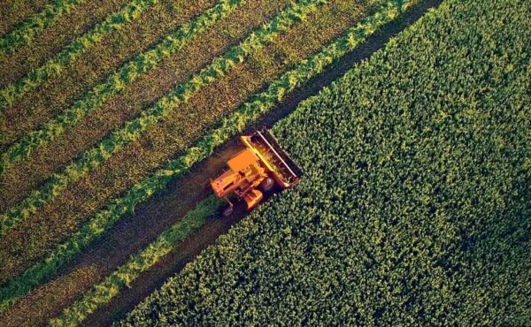 Faça um excelente atendimento na propriedade rural