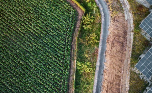 Gestão da Propriedade Rural com Sustentabilidade