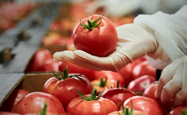 Higiene e manipulação de alimentos