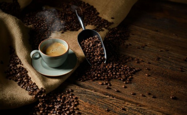 Imersão ao universo de cafés especiais – Mundo Café