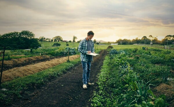 Consultoria Lean Farm