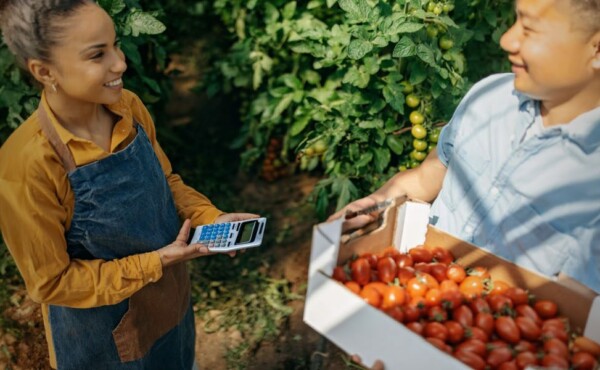 Presença Financeira – Indústria de Alimentos e Agroindústria