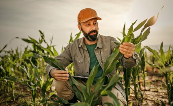 Seja Empreendedor no Campo