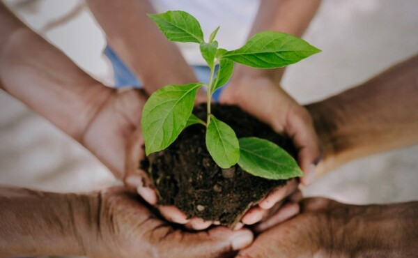 EPI – Sustentabilidade é para todos