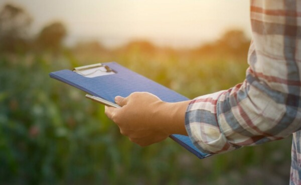 Consultoria para adequação à norma Rainforest Alliance para Agricultura Sustentável (RAS) – Código de conduta
