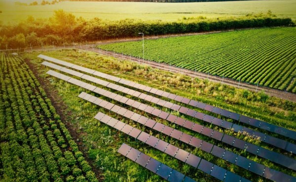 Consultoria em eficiência energética para empresas