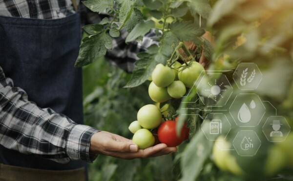 Consultoria em adequação à norma Rainforest Alliance para Agricultura Sustentável (RAS) – Cadeia de custódia