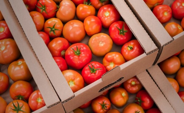 Boas Práticas na Produção Primária e Distribuição de Hortifruti