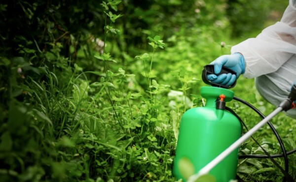 Implantação de Sistemas de Produção e Utilização de Biofertilizantes