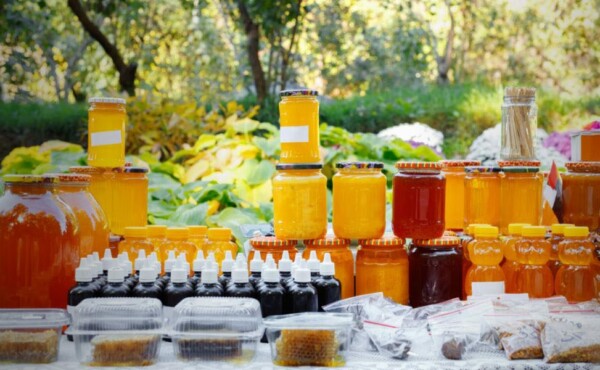 Manejo para Aumento da Produtividade na Produção de Mel e Derivados