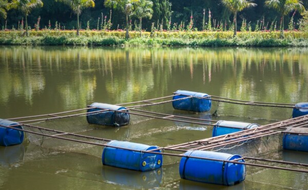 Outorga de Água para Uso na Aquicultura