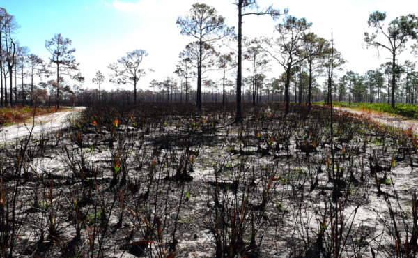 Gestão de riscos contra incêndios na propriedade