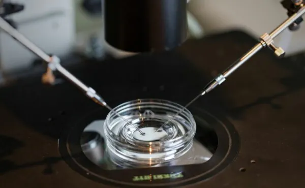 Fertilização in Vitro (FIV)