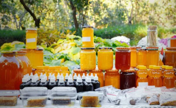 Manejo para Aumento da Produtividade na Produção de Mel e Derivados