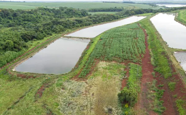 Tratamento de Águas Residuais da Propriedade Agroecológica