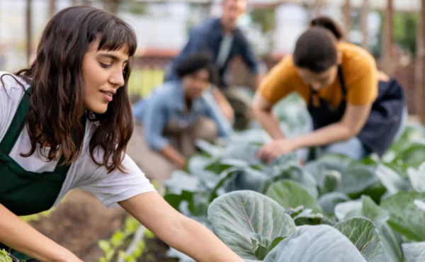 Responsabilidade Social Corporativa (RSC) no agronegócio